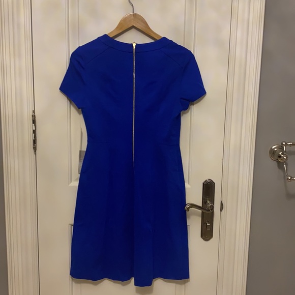 NEW! Eliza J Cobalt Blue Dress - Picture 4 of 5